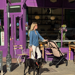 YOLO Journal: London Family Black Book
